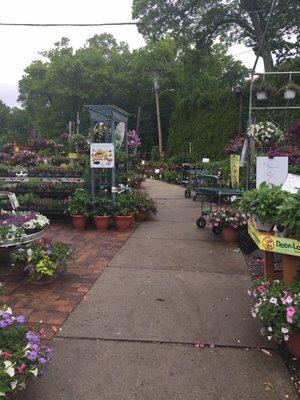 A great variety of landscaping plants, shrubs, and flowers.