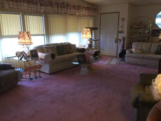 Living room carpeting They had pink!