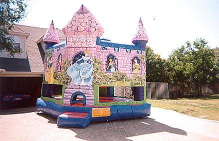 Disney Princess Castle