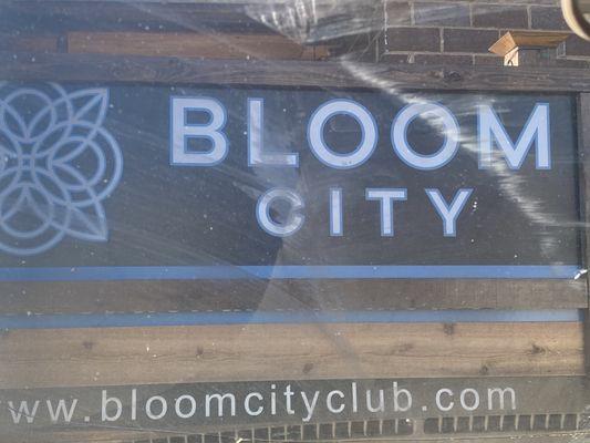 Bloom Ypsilanti