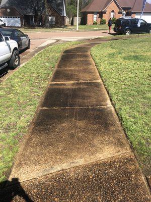 A Before picture of a Sidewalk Cleaning