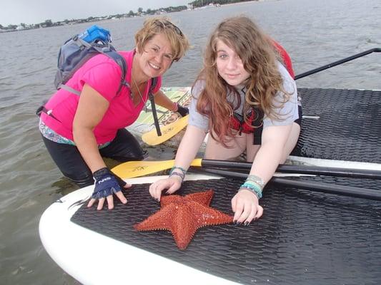 This big guy went right back in the water with his friends after we got a chance to study a little marine biology!