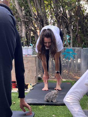 RoseUp partners with animal rescues for kitten or puppy yoga.