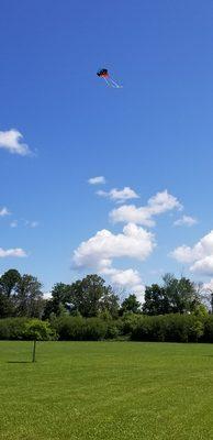 Perfect kite flying weather