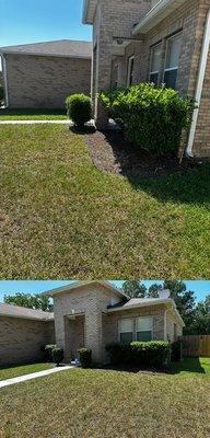 Bushes trimmed and grass cut