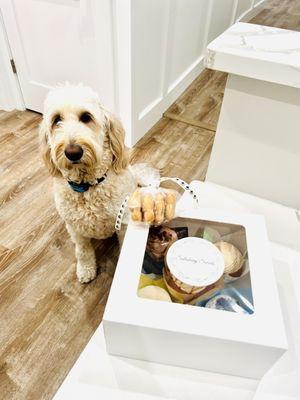 Charlie getting treats for her 5th birthday!