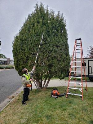 October Quote Special! Helena Hedge Trimming is for people who want a tree service