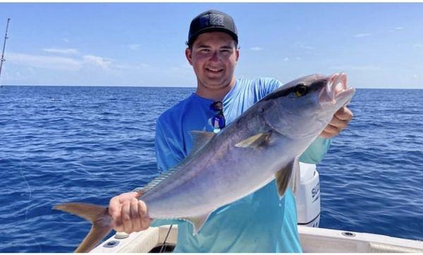 Greater Amberjack