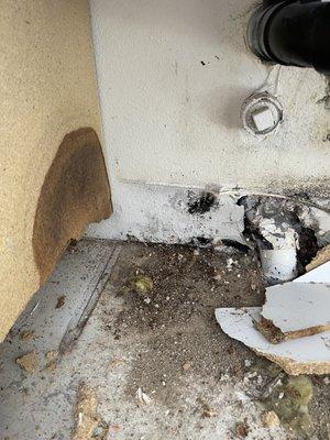 Mold damage found under sink