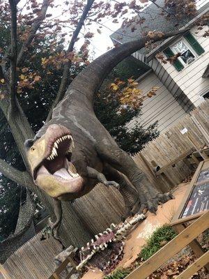 T-Rex