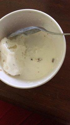 Mosquito in icecream