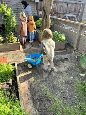 Taking care of the KMS garden is built into the curriculum.