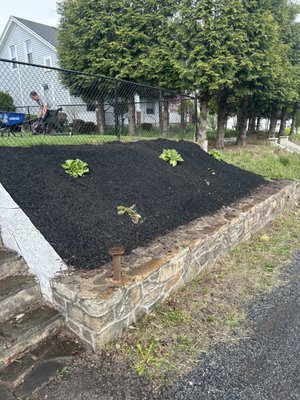 Black mulch