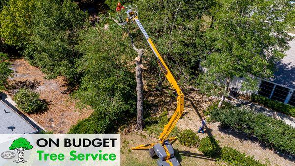 No job too tough for On Budget Tree Service in Ocala.