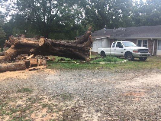 Stackers Tree Service