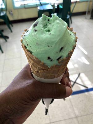 A single scoop of mint chocolate chip on a waffle cone.