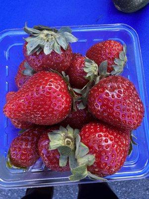 Fresh Strawberries perfectly sweet!