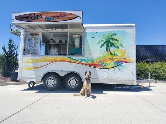 Celie's Shaved Ice is furry-friend approved!