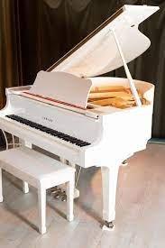 the serendipity piano