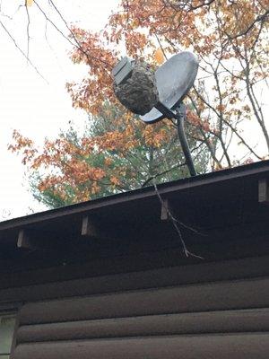 Hornet nest on satellite link, beware!