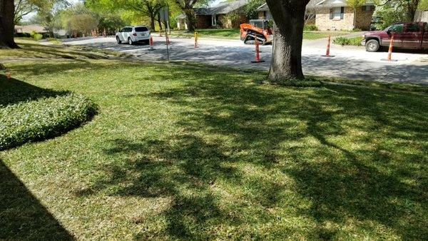 St. Augustine Sod Installation