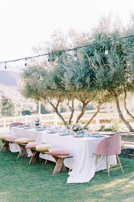 Proposal picnic in Temecula Wine Country Robert Renzoni Winery