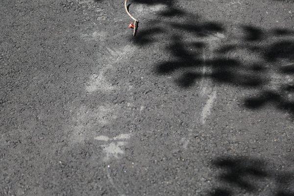 More boot prints left by Opal on my driveway