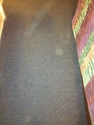 Carpet stained and smelly