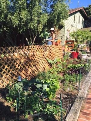 On the Farm(ista!). Carin Hoffman of Glendale Diggs Real Estate loves her Farmista garden!