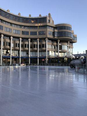 Zamboni spotting!