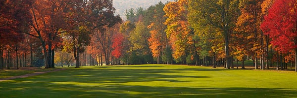 Fall foliage is always s