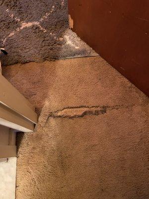 Worn carpet that got worse from a wooden door swelling and sticking close to the carpet.