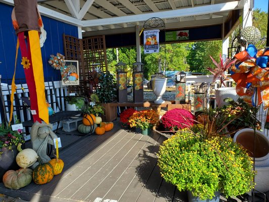 Beautiful mums & pumpkins.