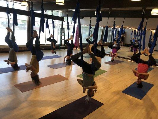 Come hang with us on our beautiful new aerial yoga rig. Our space was designed by an engineer for 2000 lbs per person!