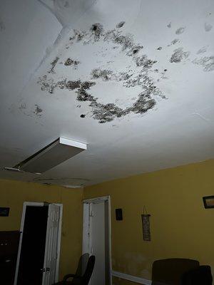 Roof Leak from Hurricane Ida