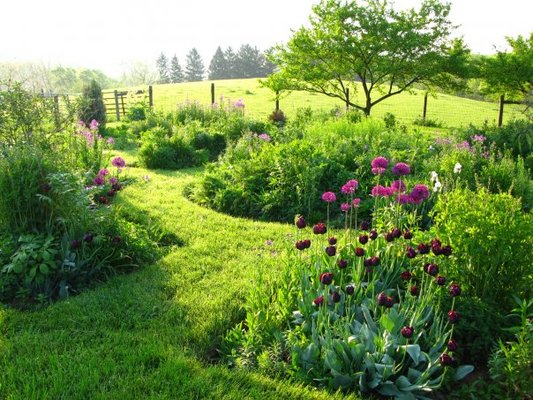 The beautiful organic gardens at Terressentials! We welcome your phone call or visit weekdays 11-4.