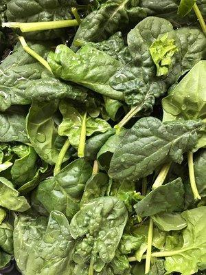 Organically Grown Spinach