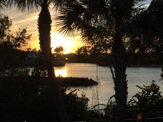 A view from the Riverwalk behind Dr. Kiner's office.