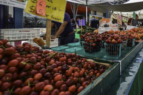 Our wonderful weekly Farmer's Market!