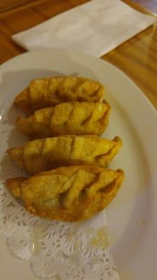 Fried pork chive dumplings