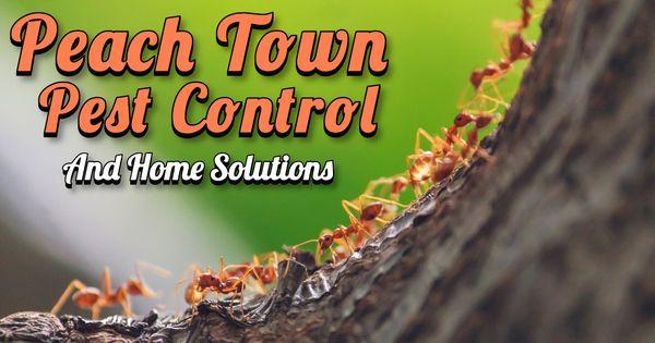 Peach Town Pest Control