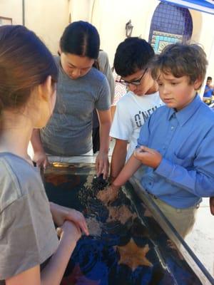 All hands in at Cabrillo Marine Aquariums tide pool presentation for the kids of Project Think!