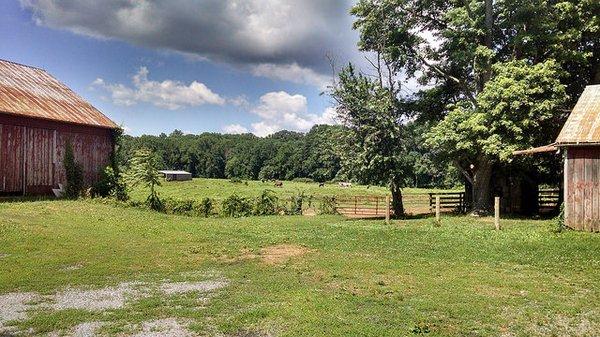 Park Overlook Farm