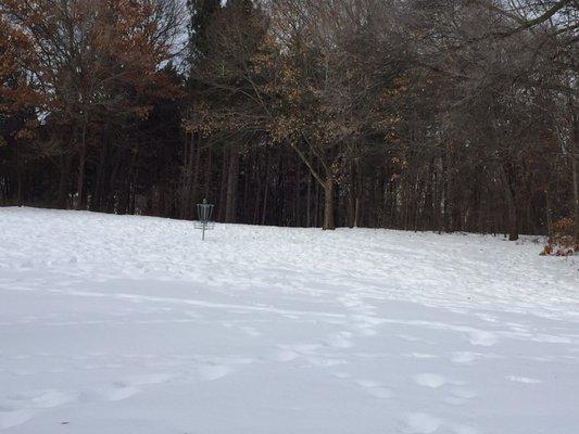 Disc (Frisbee) course (next to horseshoe pit area)