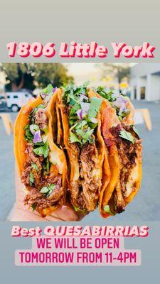 Lulys Birria Tacos