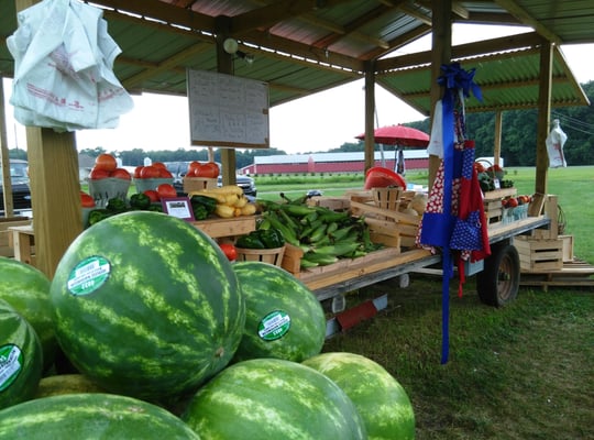 Hay Wagon Country Produce