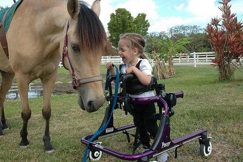 Bit-By-Bit Therapeutic Riding Center