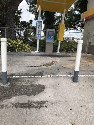 Car wash is pretty busy today!!