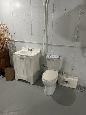 Basement up flush bathroom