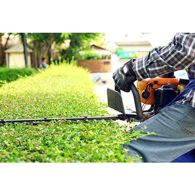 Trimming Hedges